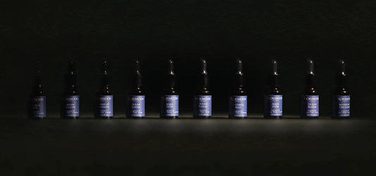 Morimoon fragrance oils collection with premium bottles and natural scents