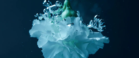 Ocean Bloom fragrance oil with marine floral notes for coastal serenity and calm