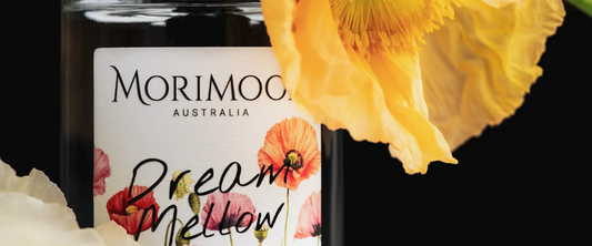 Dream Mellow Reed Diffuser: Transforming Evenings into Serenity