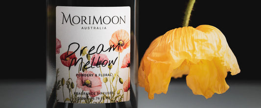 The Night Ritual: How Dream Mellow Reed Diffuser Supports Restful Sleep