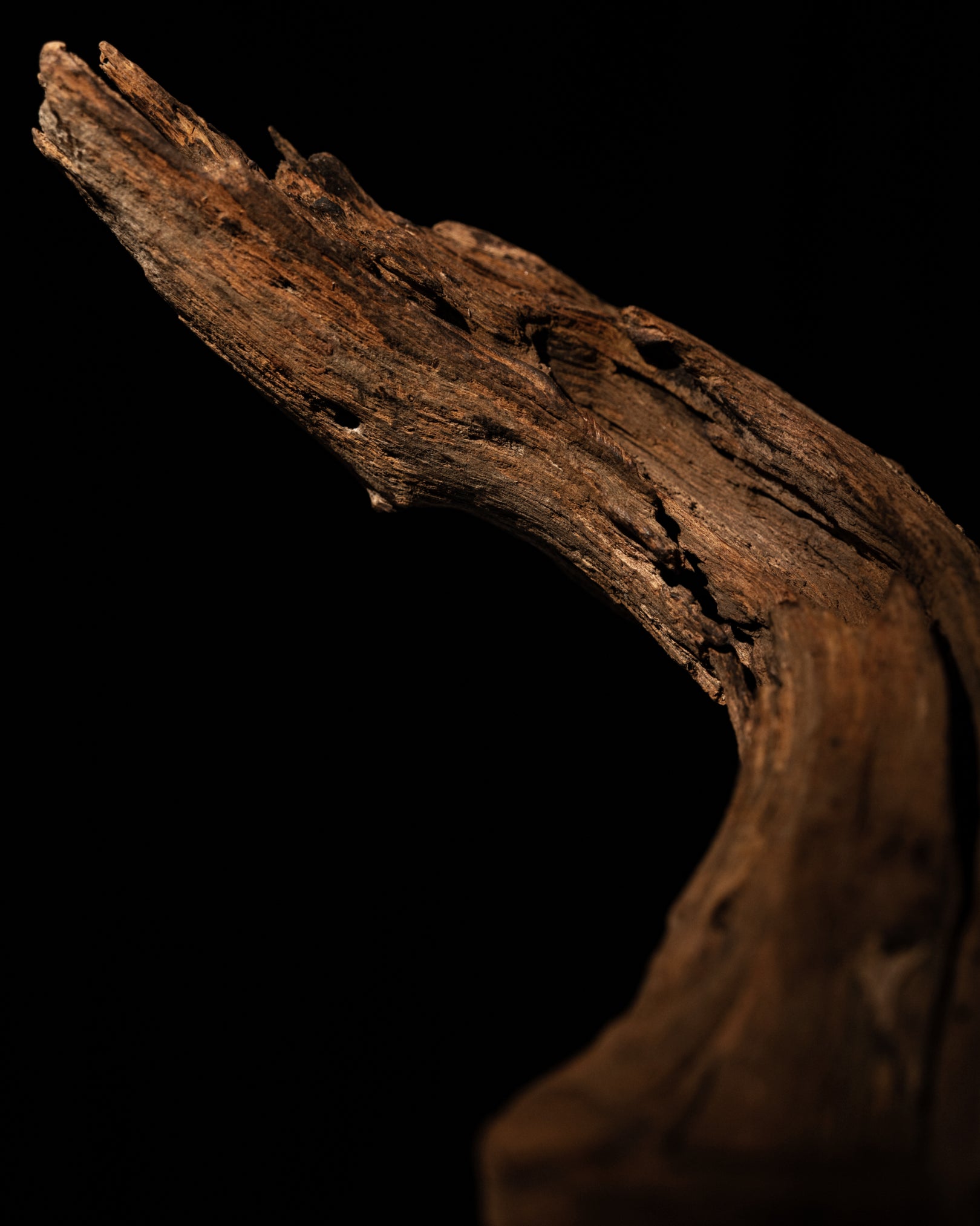 Cedarwood note grounding woody base in Morimoon Aqua Dusk fragrance oil