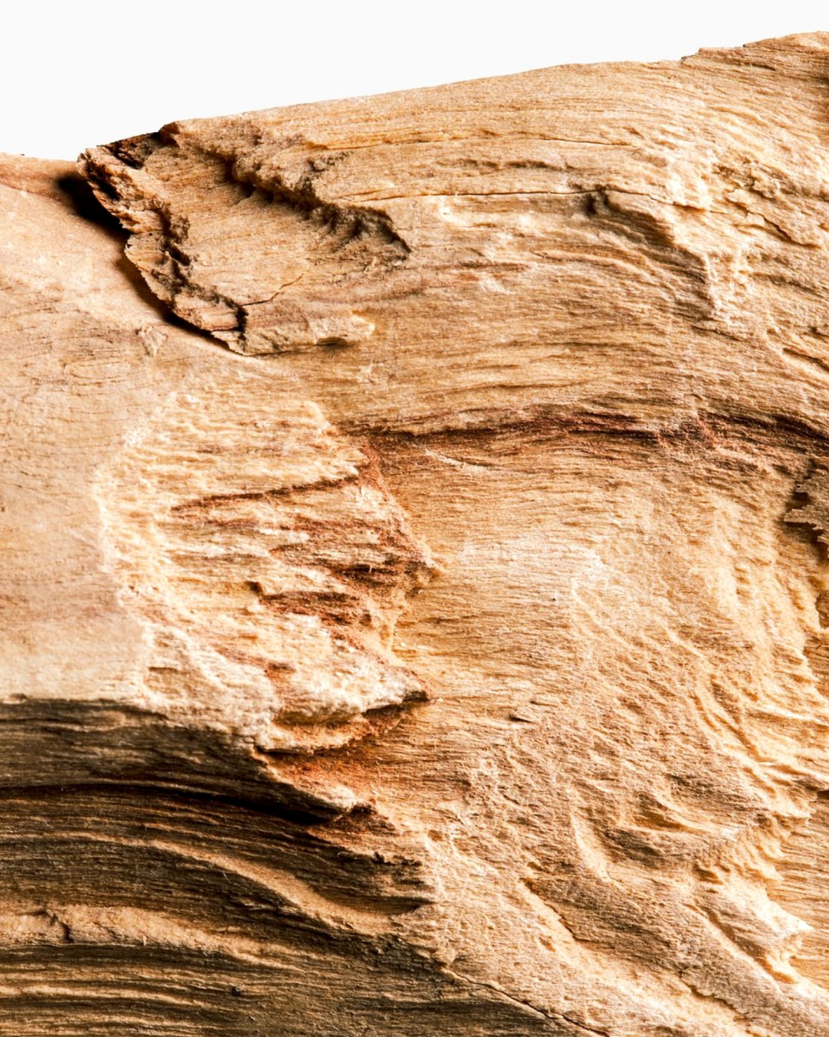 Guaiacwood note smoky woody depth in Morimoon Aqua Dusk fragrance oil