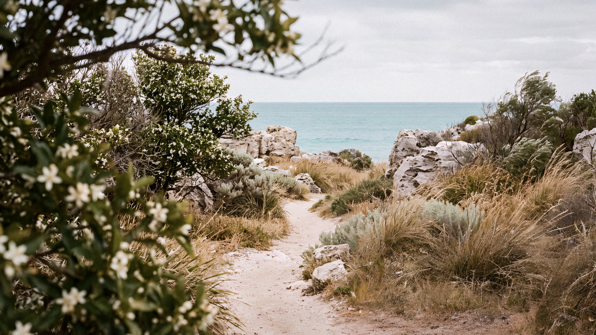 An Australian fragrance brand for calm rituals and modern living