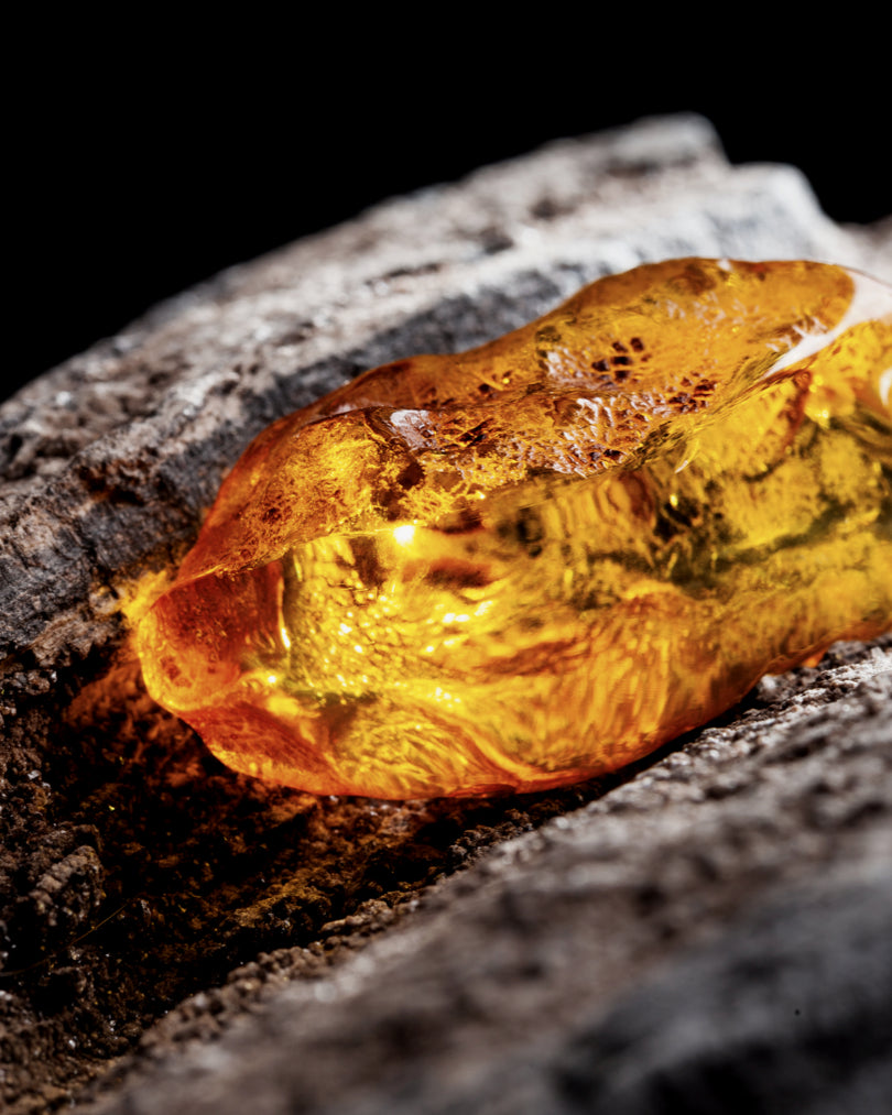 Amber note resinous warmth dreamy depth in Morimoon Dream Mellow fragrance oil