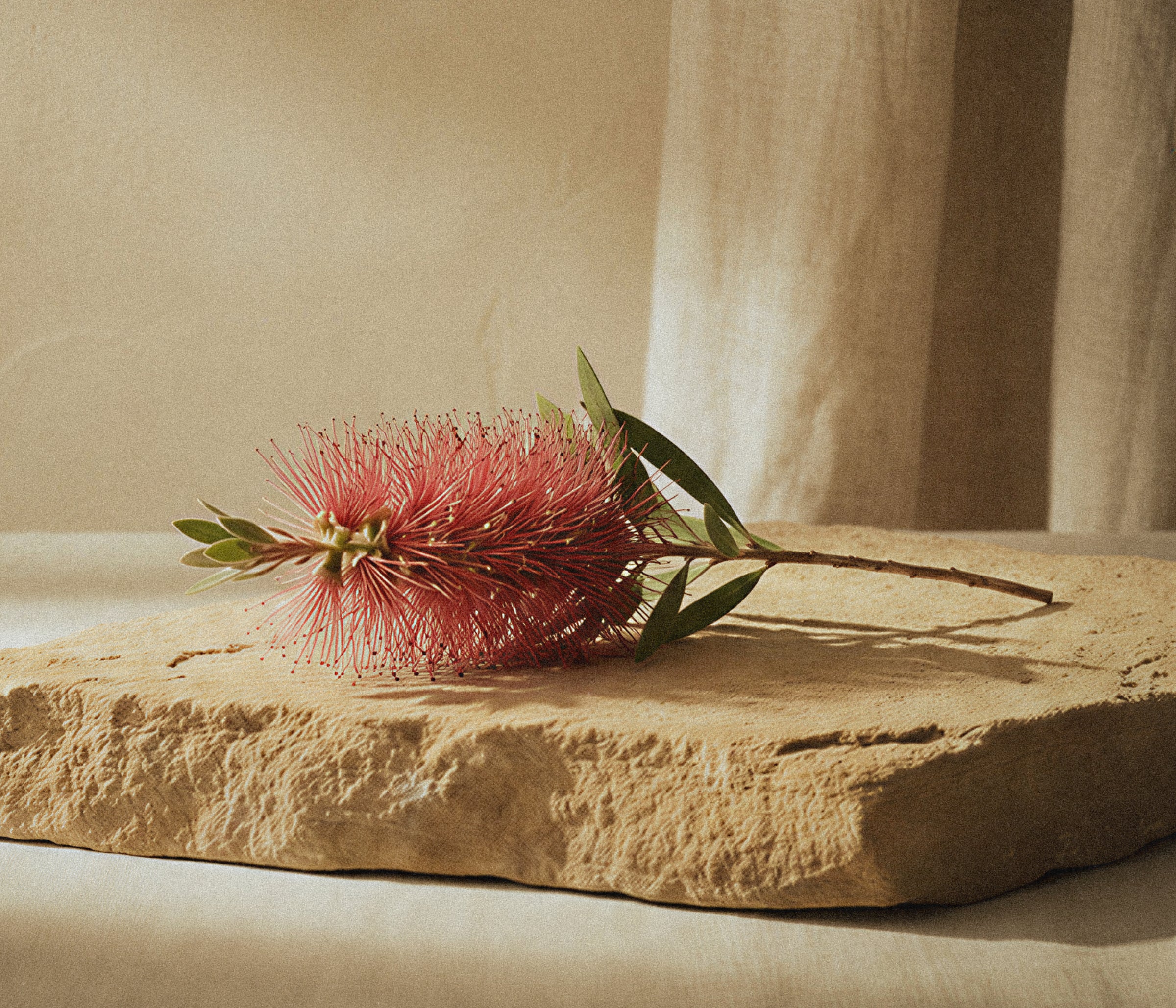 An Australian fragrance brand for calm rituals and modern living