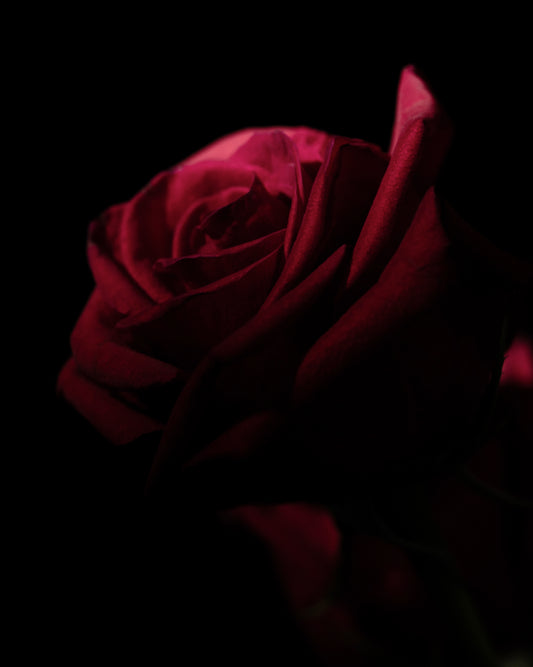 Deep rose fragrance note for romantic aromatherapy