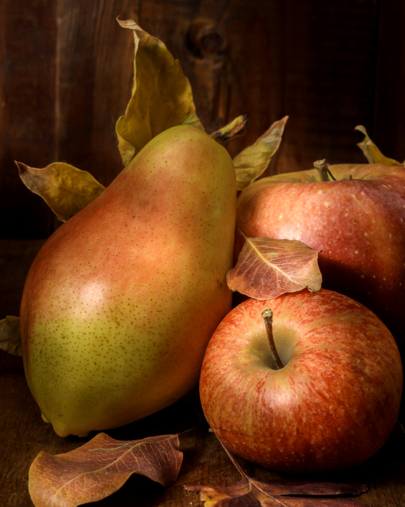 Juicy pear and apple top notes in Morimoon Midnight Orchard fragrance oil