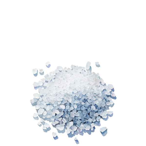 Illustrated sea salt crystal sketch representing Ocean Bloom marine note
