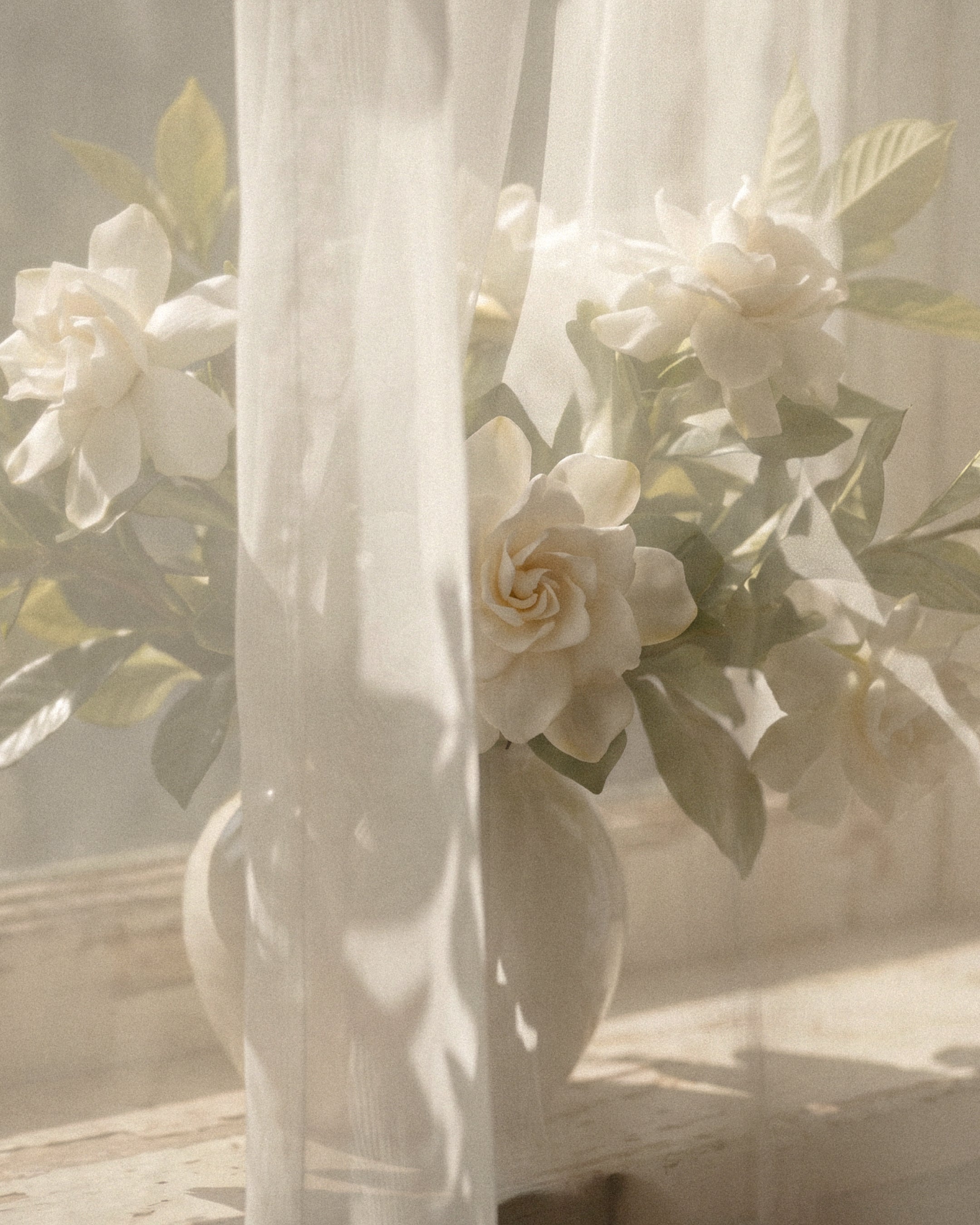 Gardenia Clair Reed Diffuser