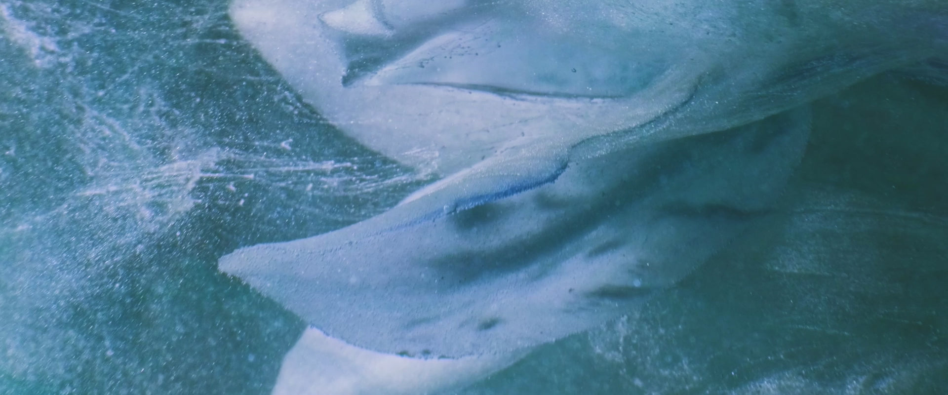 Ocean Bloom fragrance oil video – serene oceanic scent blend